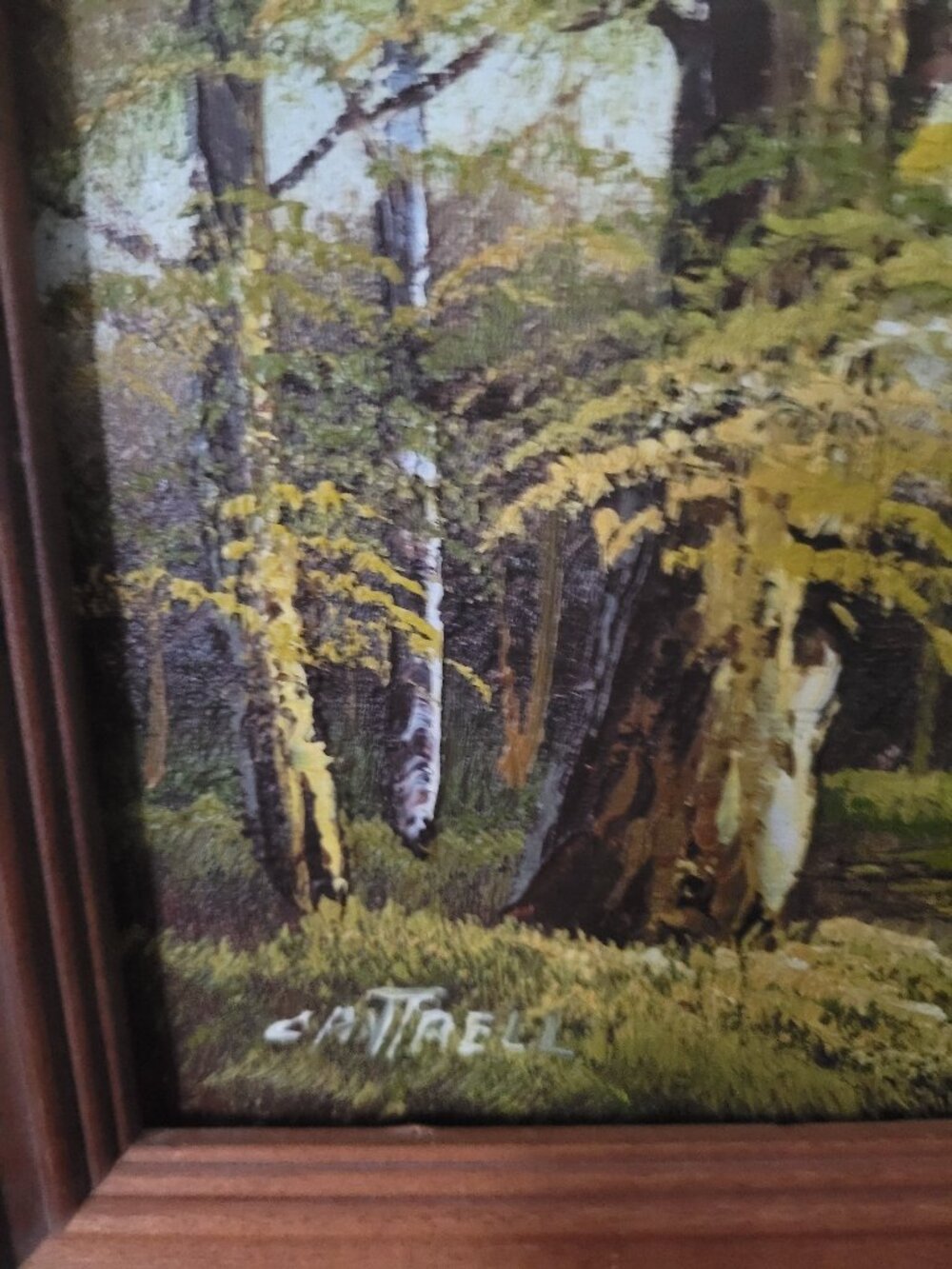 Framed 8x10 Landscape Oil Painting by Cantrell
